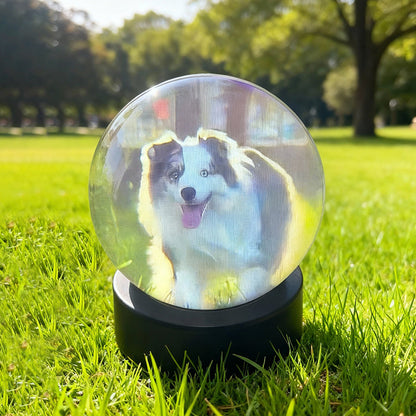 Electronic crystal ball