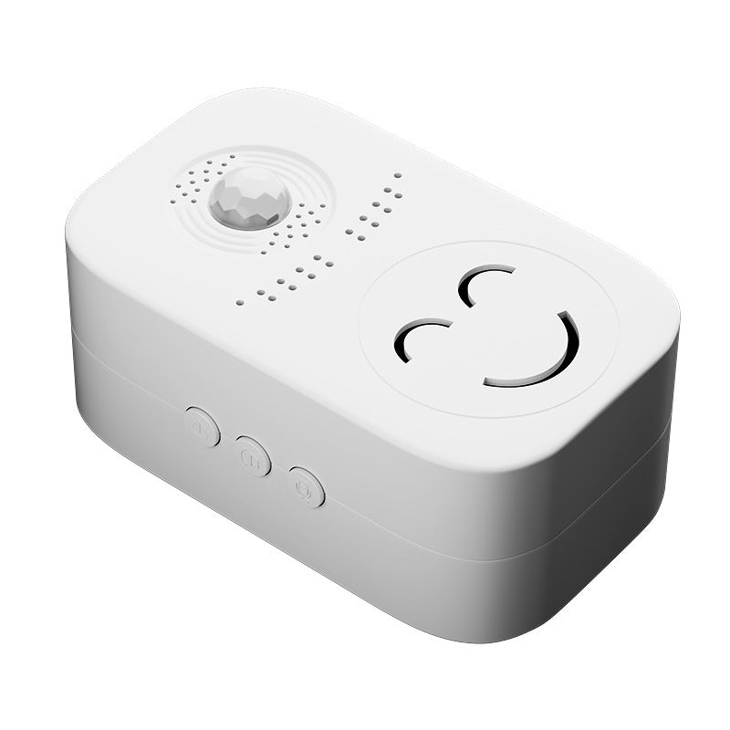 Electronic Doorbell