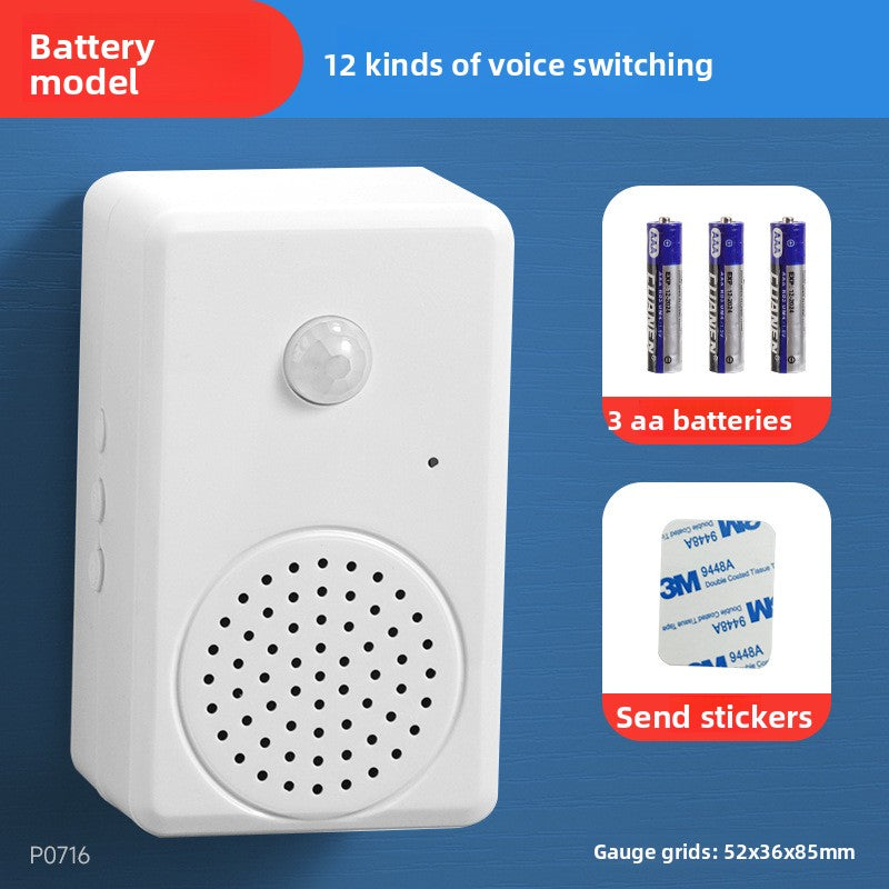 Electronic Doorbell