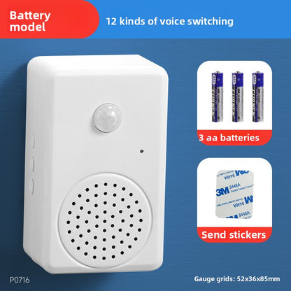 Electronic Doorbell