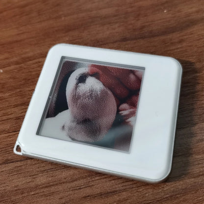 Electronic Ink Screen