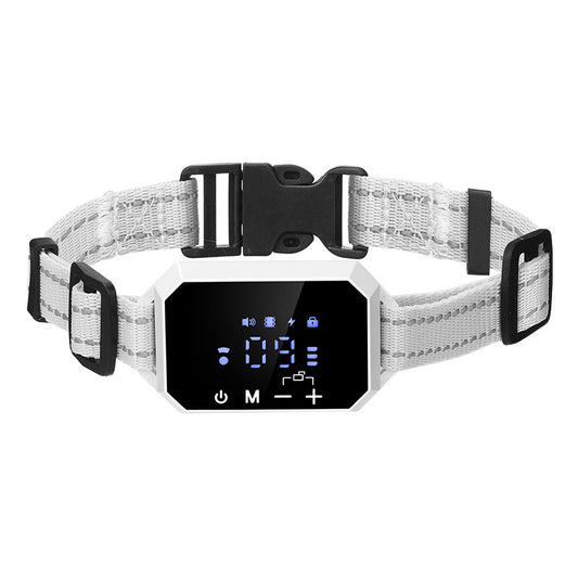 Electronic Pet Fence