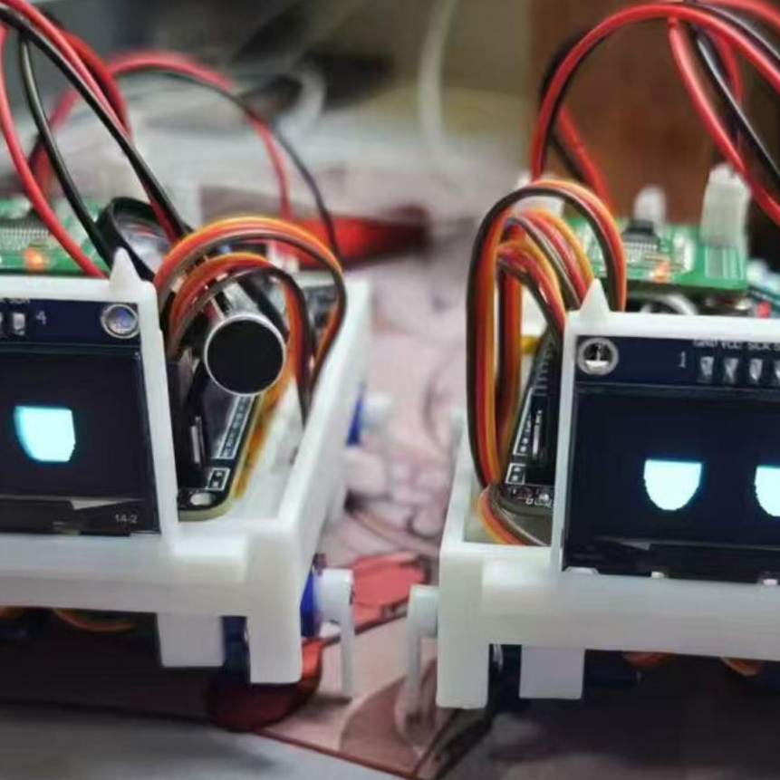 Electronic Pet Toy