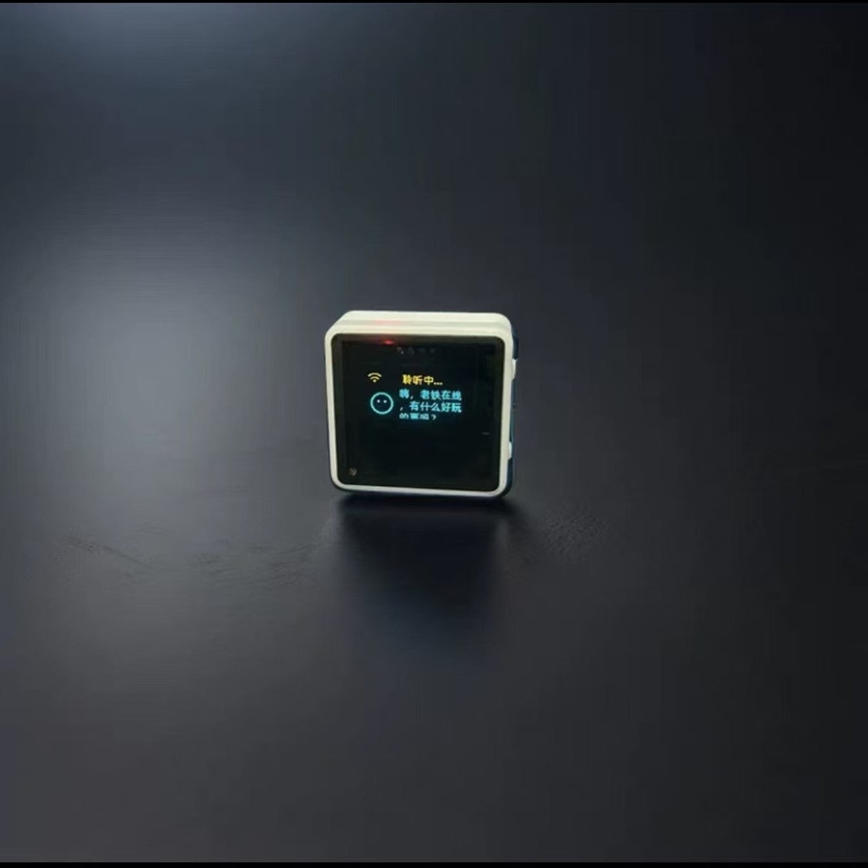 Electronic Pet Toy