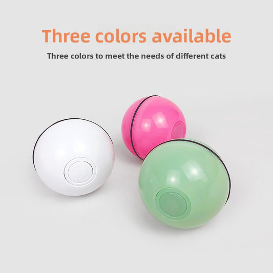 Electronic pet toy