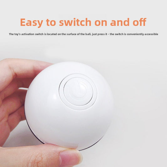 Electronic pet toy