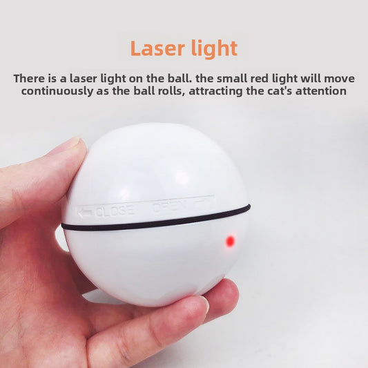 Electronic pet toy
