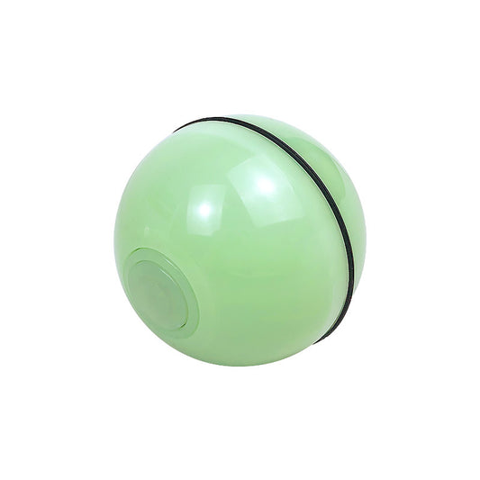 Electronic pet toy