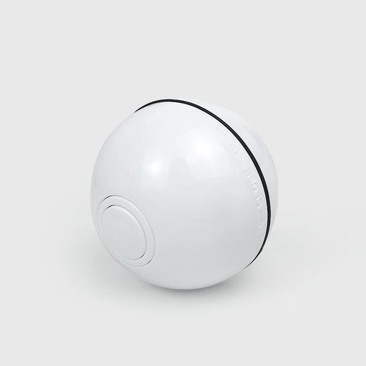 Electronic pet toy