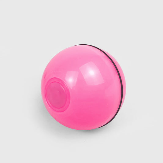 Electronic pet toy