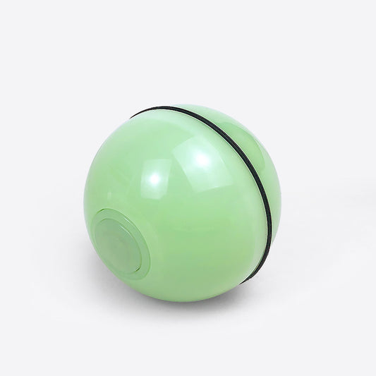 Electronic pet toy