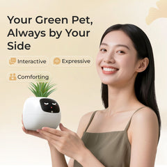 Green Ver2