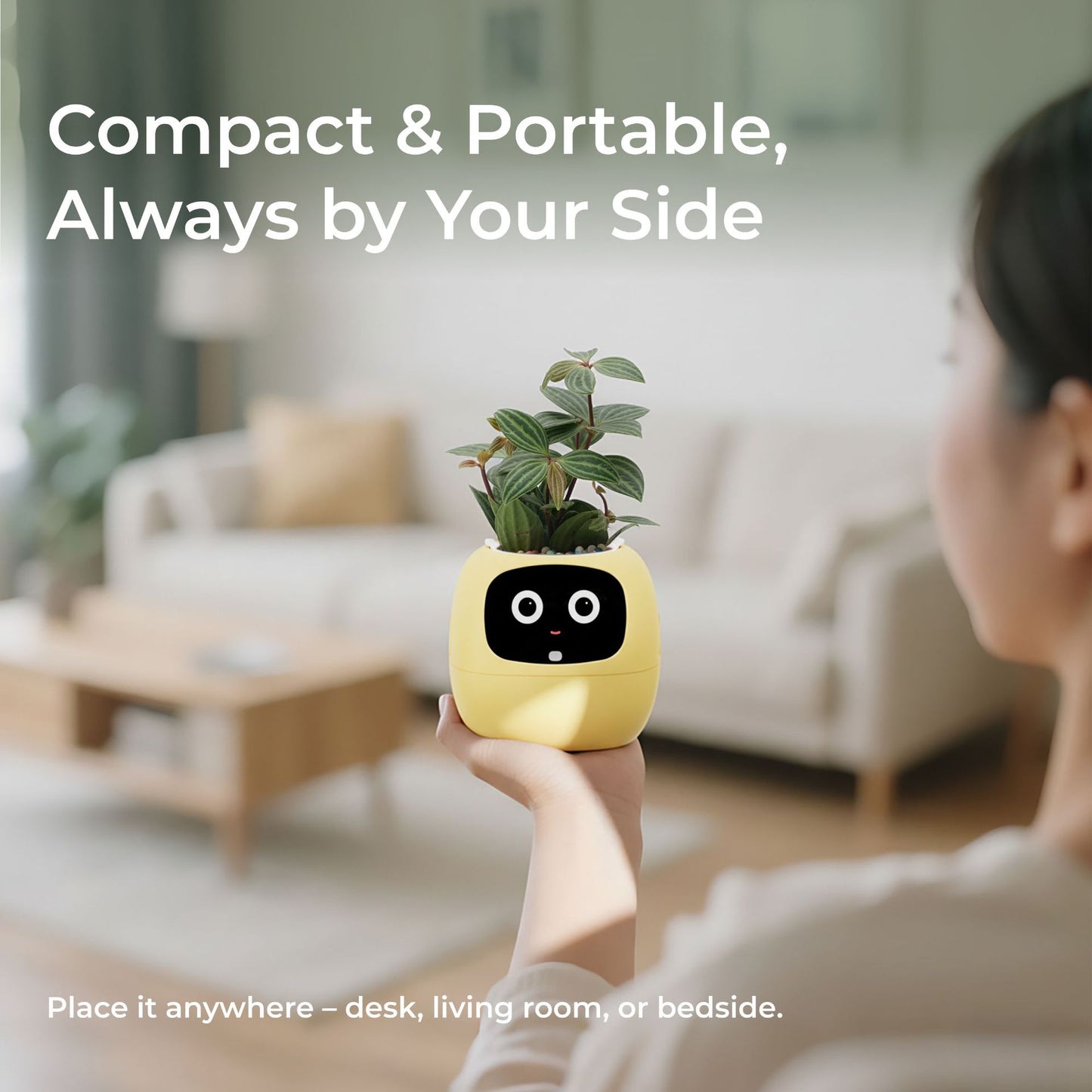Electronic pet toy
