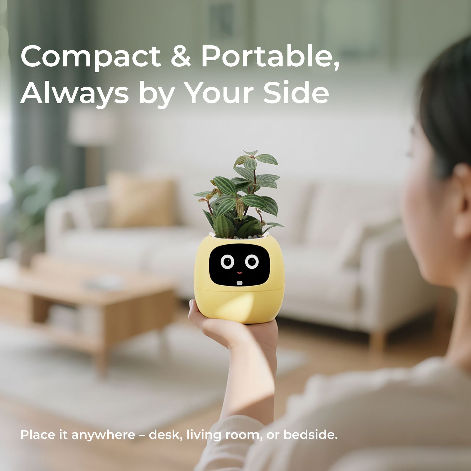 Electronic pet toy