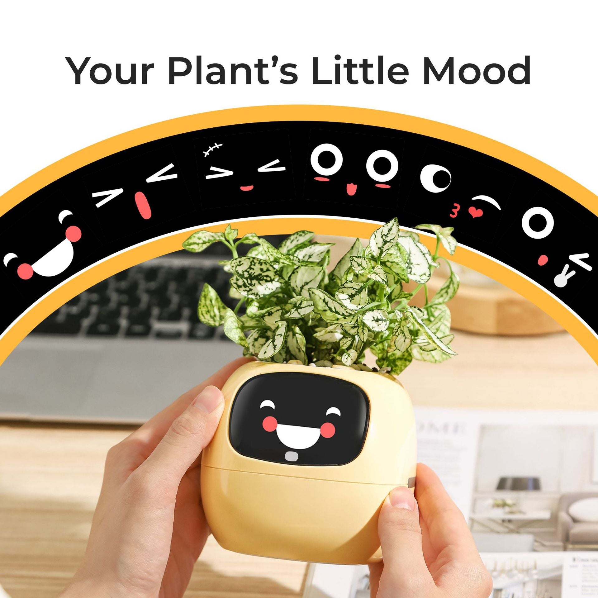 Electronic pet toy