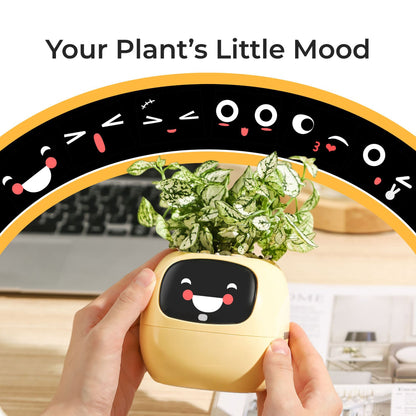 Electronic pet toy