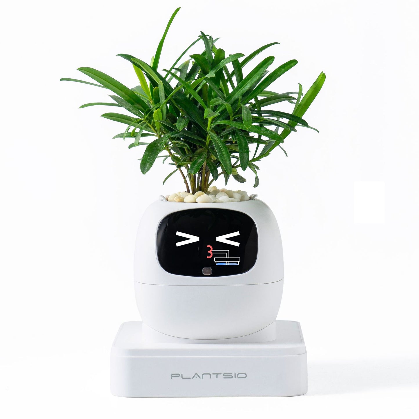 Electronic pet toy