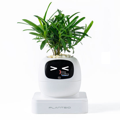 Electronic pet toy