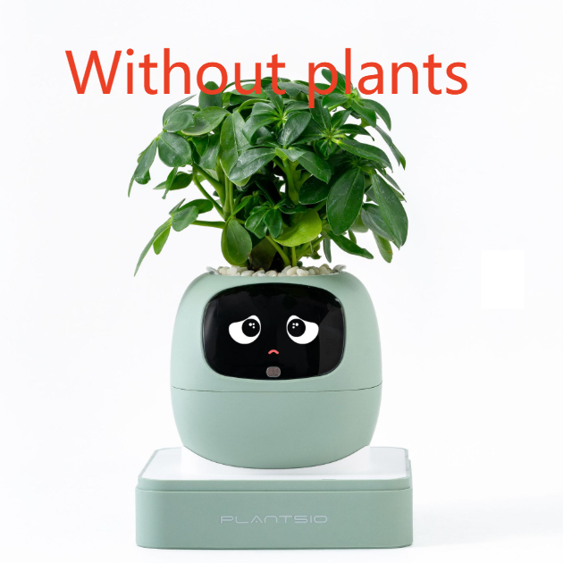 Electronic pet toy