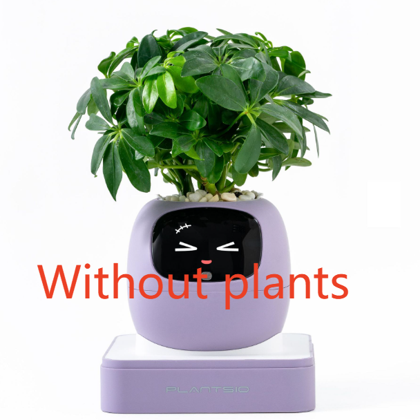 Electronic pet toy