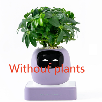 Electronic pet toy