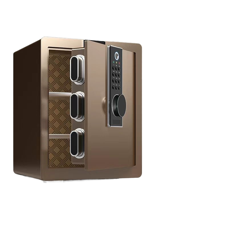 Electronic Safe