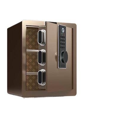 Electronic Safe