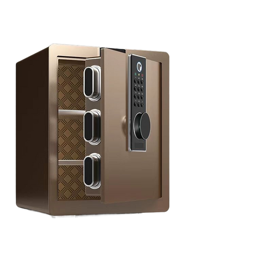 Electronic Safe