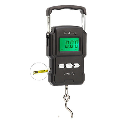 electronic scale
