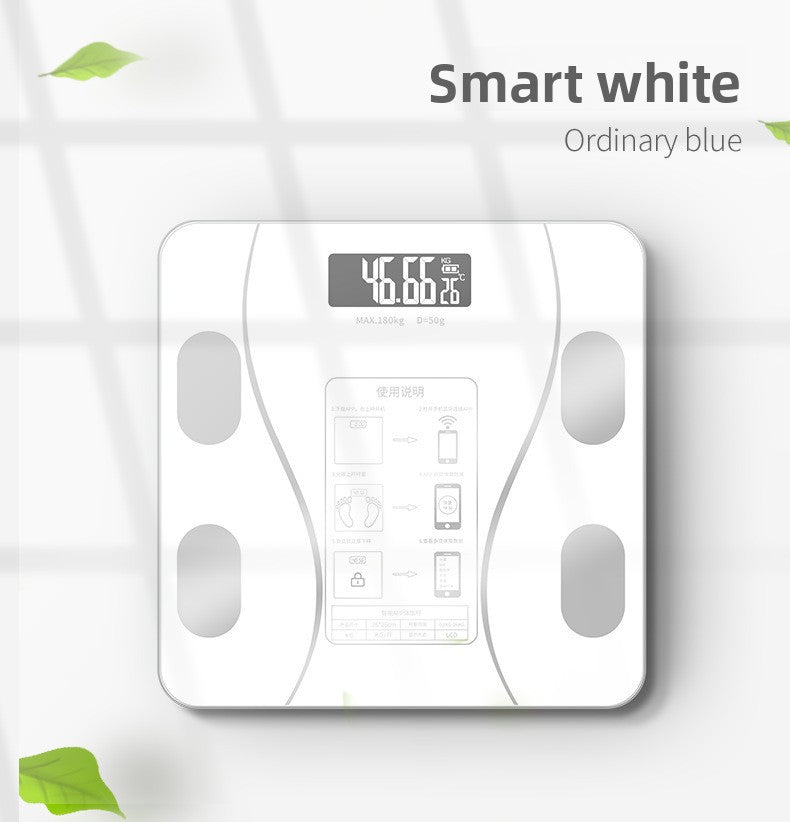 Electronic Scale