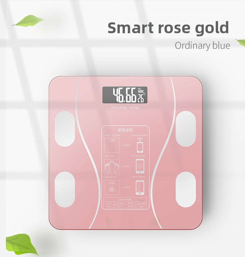 Electronic Scale