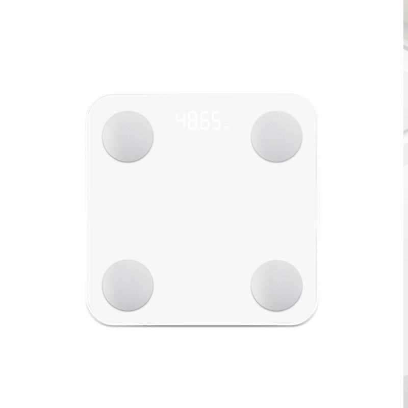 Electronic Scale