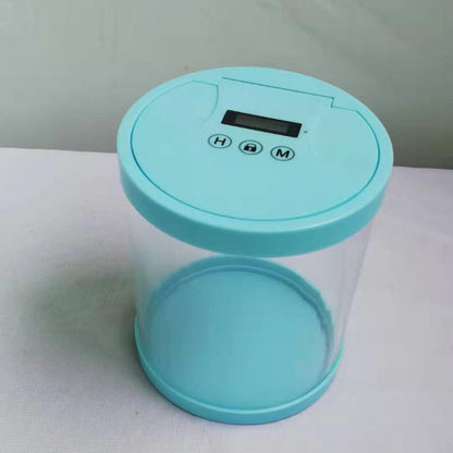 Electronic timing lock box
