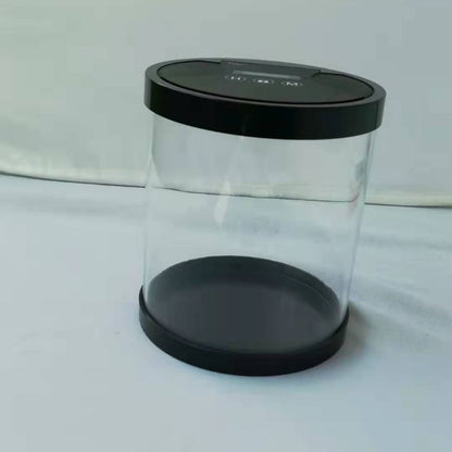 Electronic timing lock box