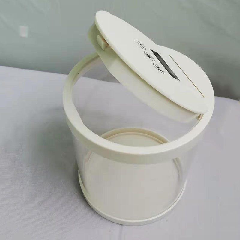 Electronic timing lock box