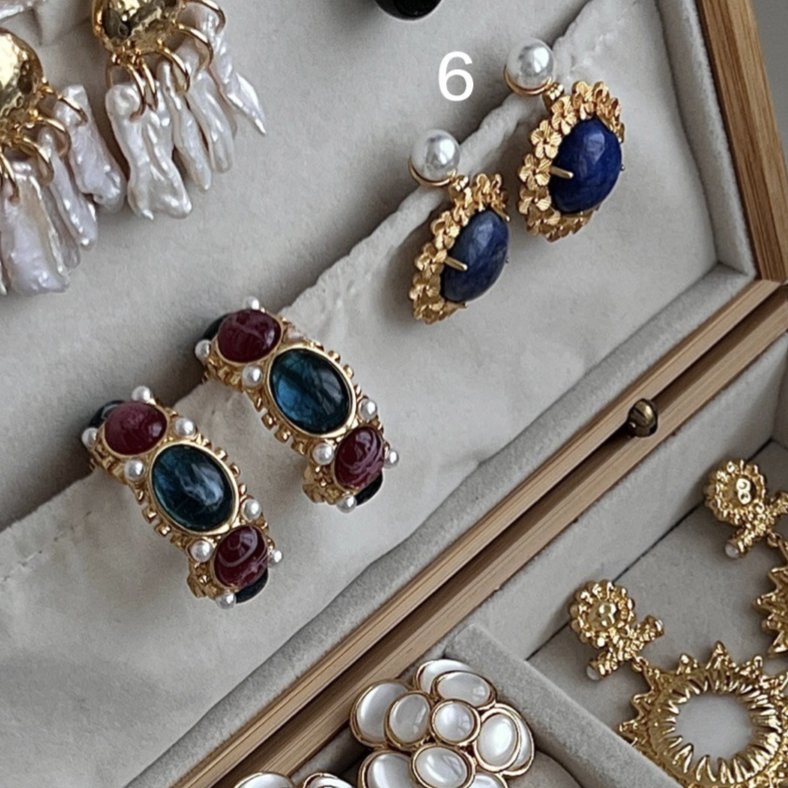 Elegant Design Earrings