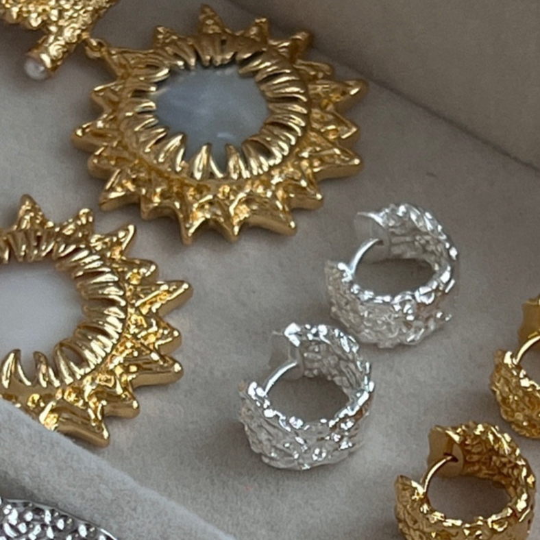Elegant Design Earrings