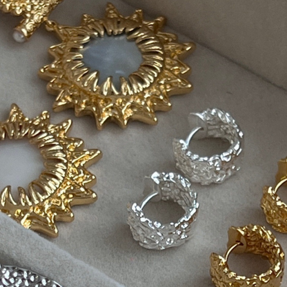 Elegant Design Earrings