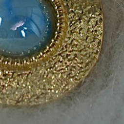 Elegant Design Earrings