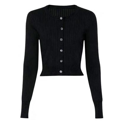 Elegant Knit Top and Dress Set