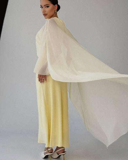 Elegant Women's Dress and Shawl Set