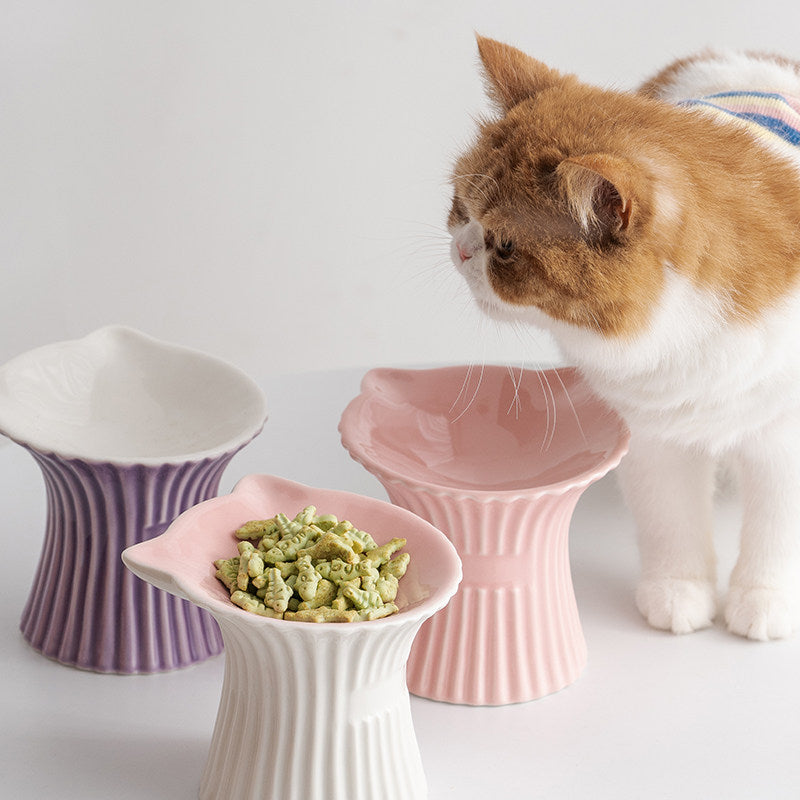 Elevated Ceramic Pet Bowl