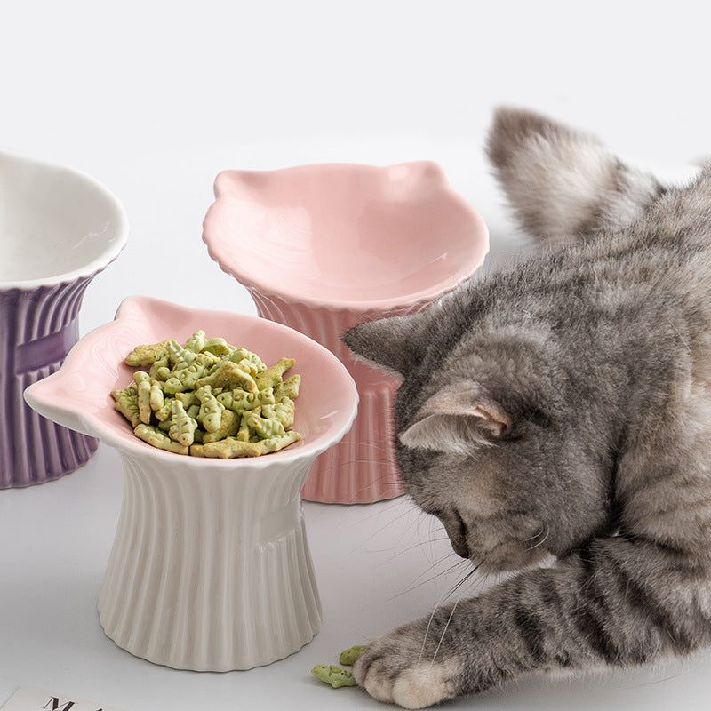 Elevated Ceramic Pet Food Bowl