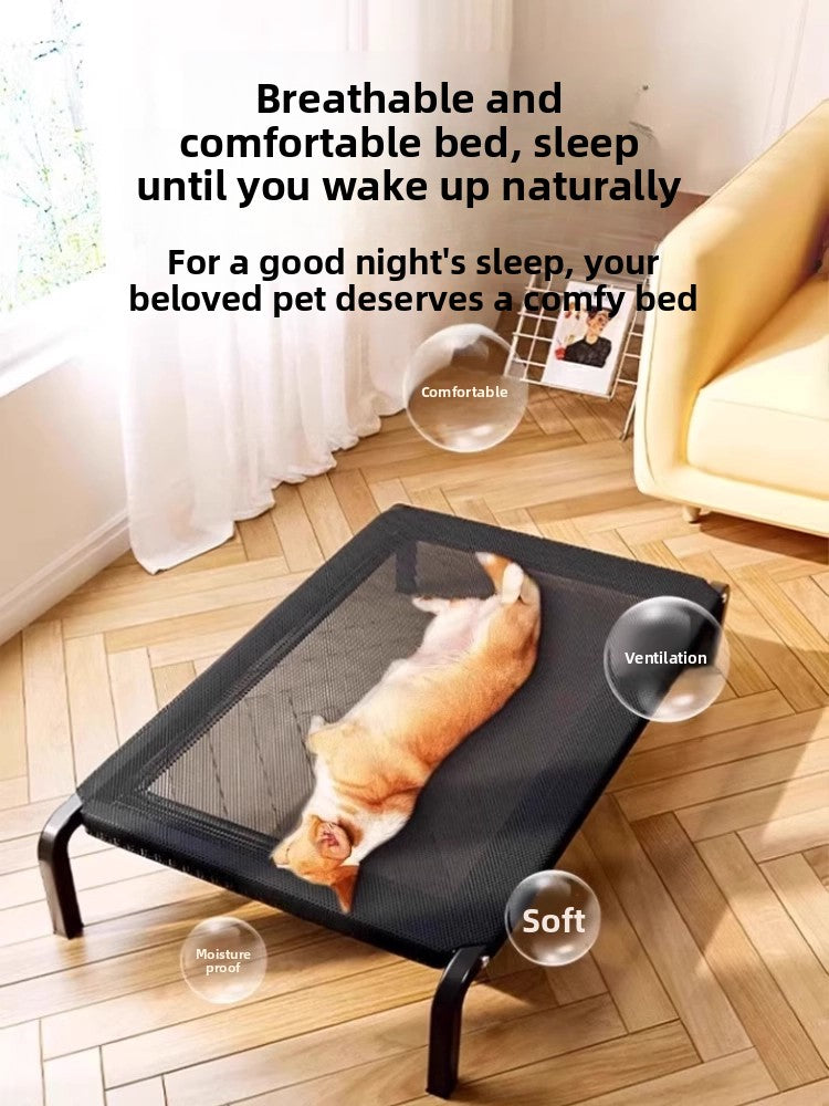 Elevated Pet Camp Bed