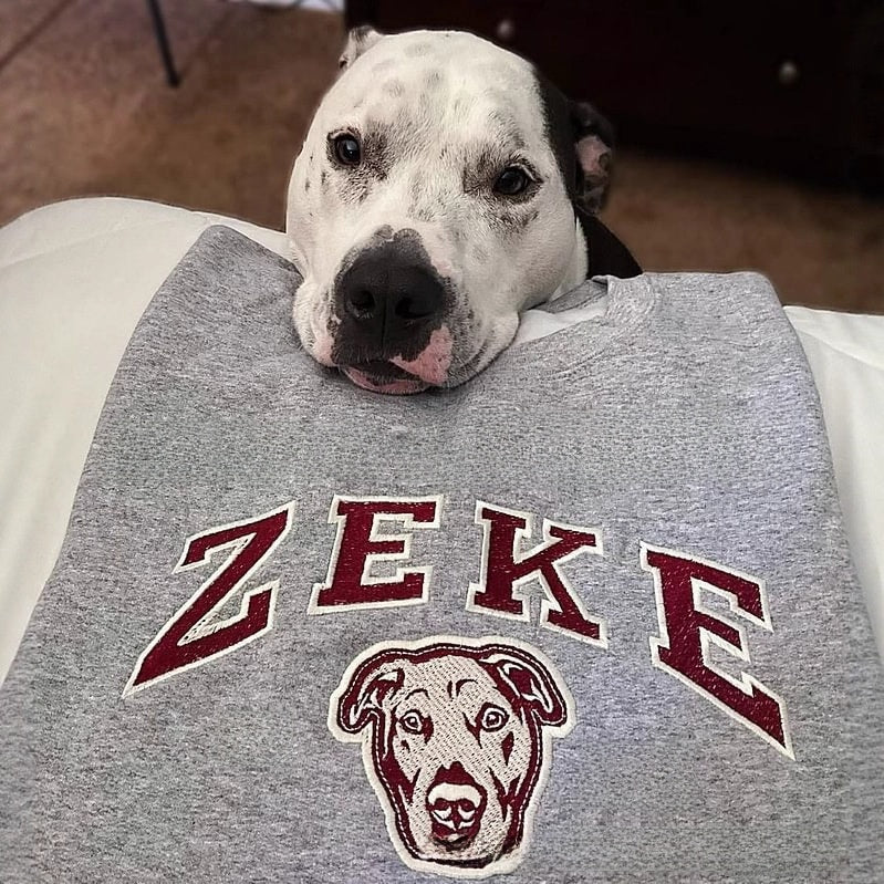 Embroidered pet hoodie