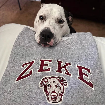 Embroidered pet hoodie