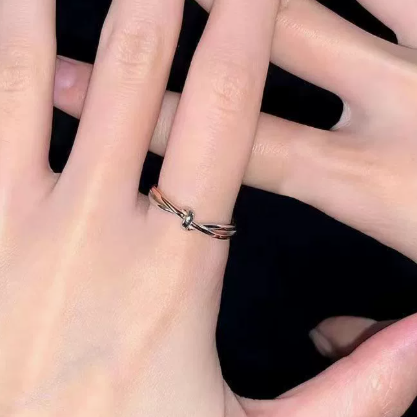 Endless Twist Titanium Steel Plated Ring