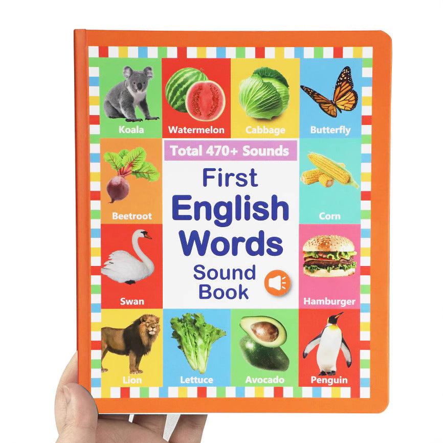 English vocabulary reading book