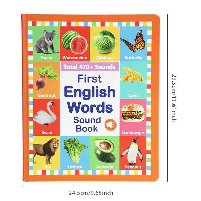English vocabulary reading book