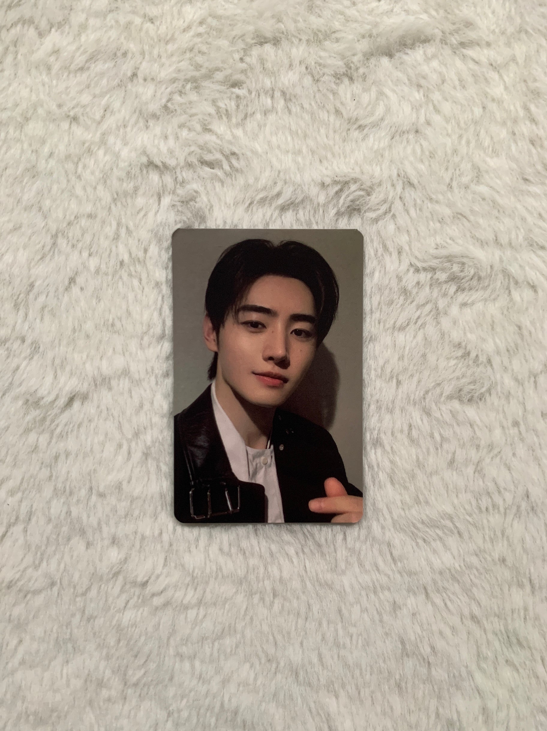 Enhypen Member Photo Cards Collection